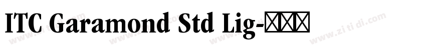 ITC Garamond Std Lig字体转换